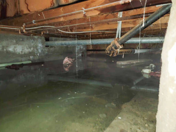 24/7 water damage repair in NJ
