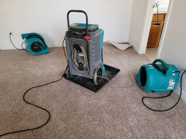 Best Mold removal after water damage  in Milltown, NJ