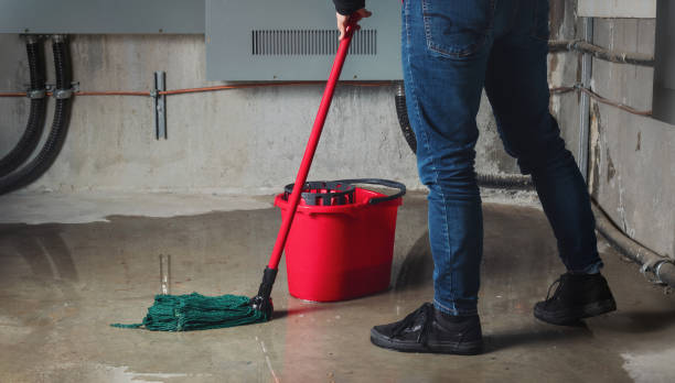 Best Water damage cleanup near me  in Milltown, NJ