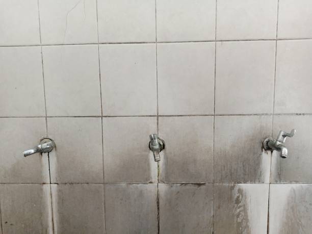 Best Professional water damage repair  in Milltown, NJ