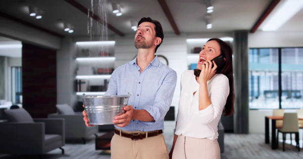 Best Sewage cleanup and water damage restoration  in Milltown, NJ